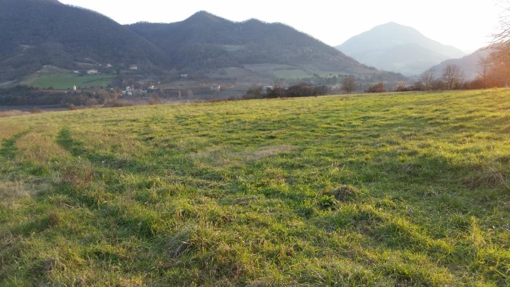 Vendesi terreno agricolo Marzabotto