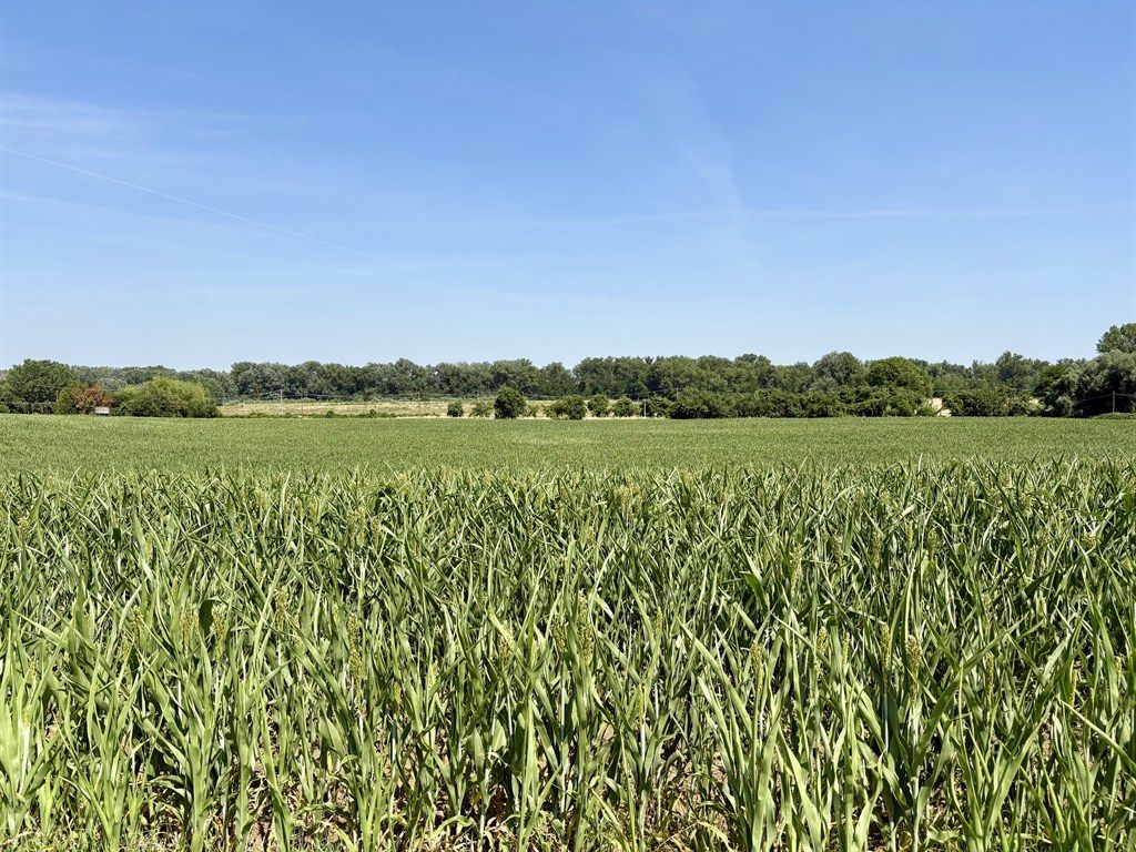 San Lazzaro di Savena - Vendesi terreno agricolo